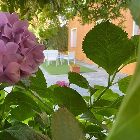 Ferienhaus L'ortensia *